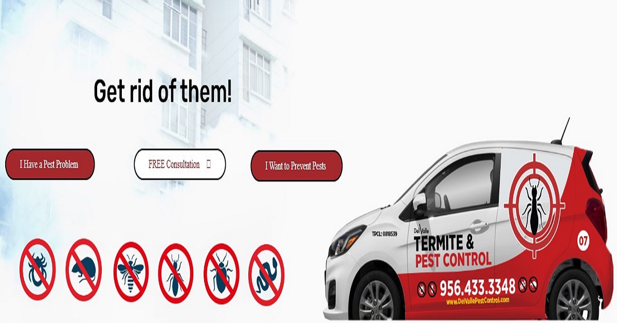 Pest Control Laredo, TX
