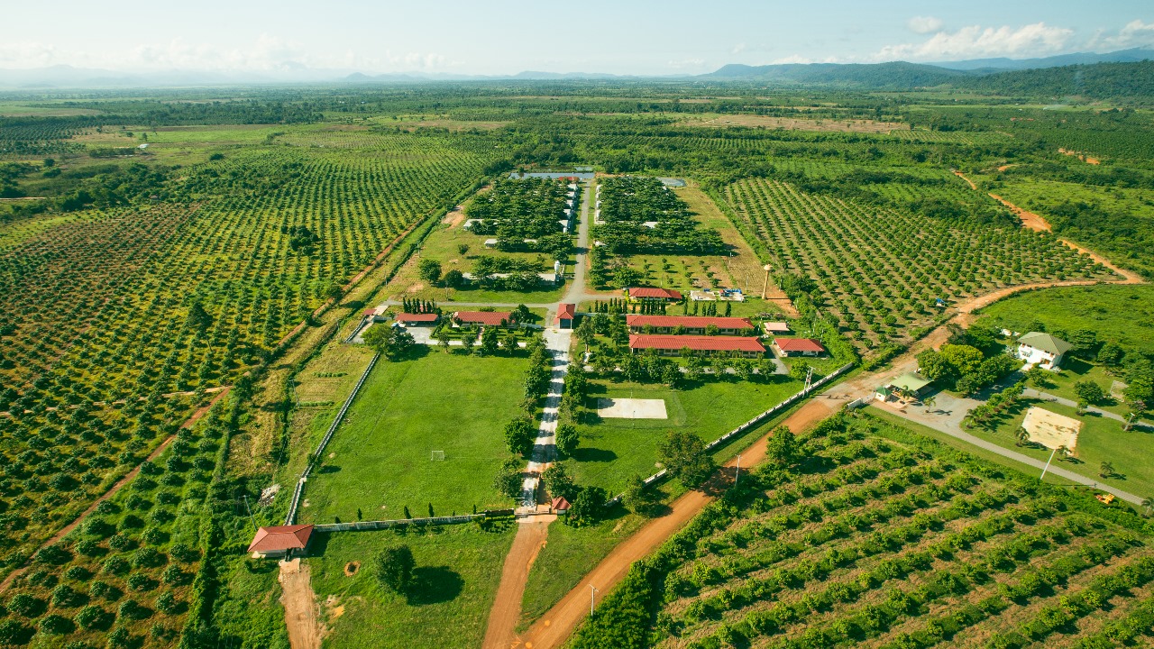 Residential Plots in Noida Sector 19