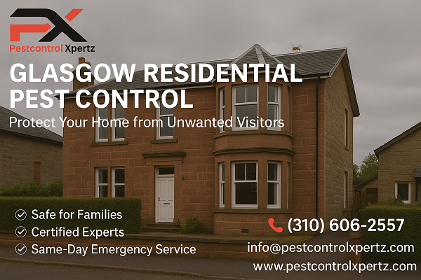 Victorian Glasgow home with pest control service details, subtle mouse and wasp, and Pest Control Xpertz contact info.