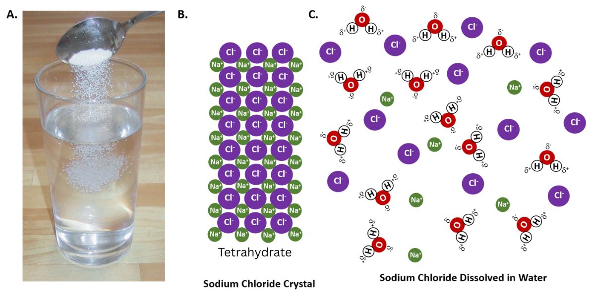 Tetrahydrate