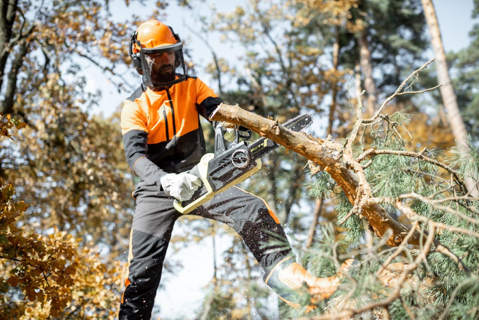 tree surgeon in Swindon
