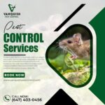 Pest Control Near Me