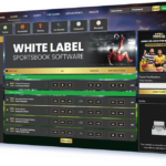 White label sportsbook admin dashboard for platform management