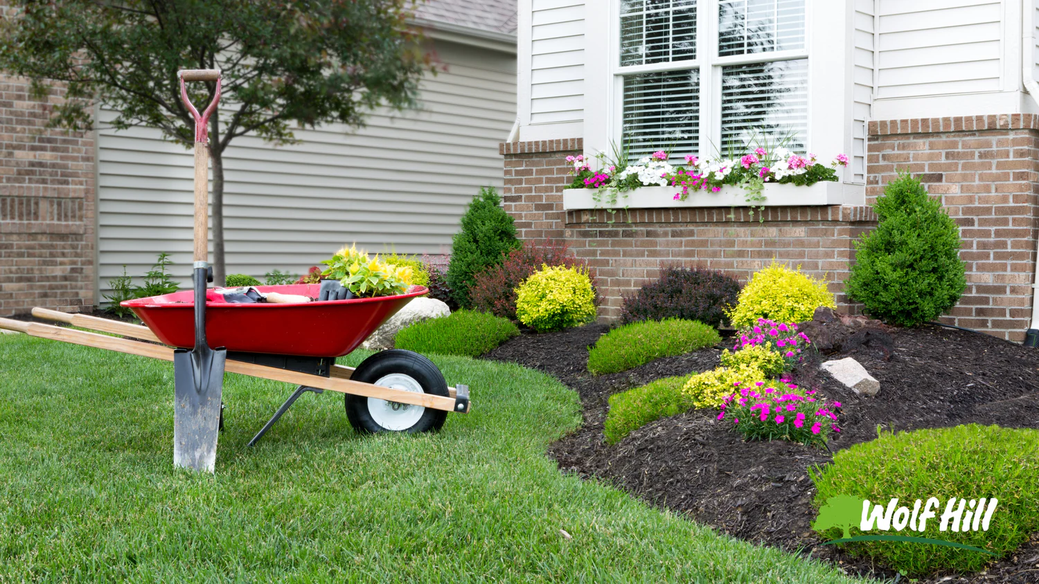landscaping