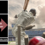 online cricket id whatsAPP number