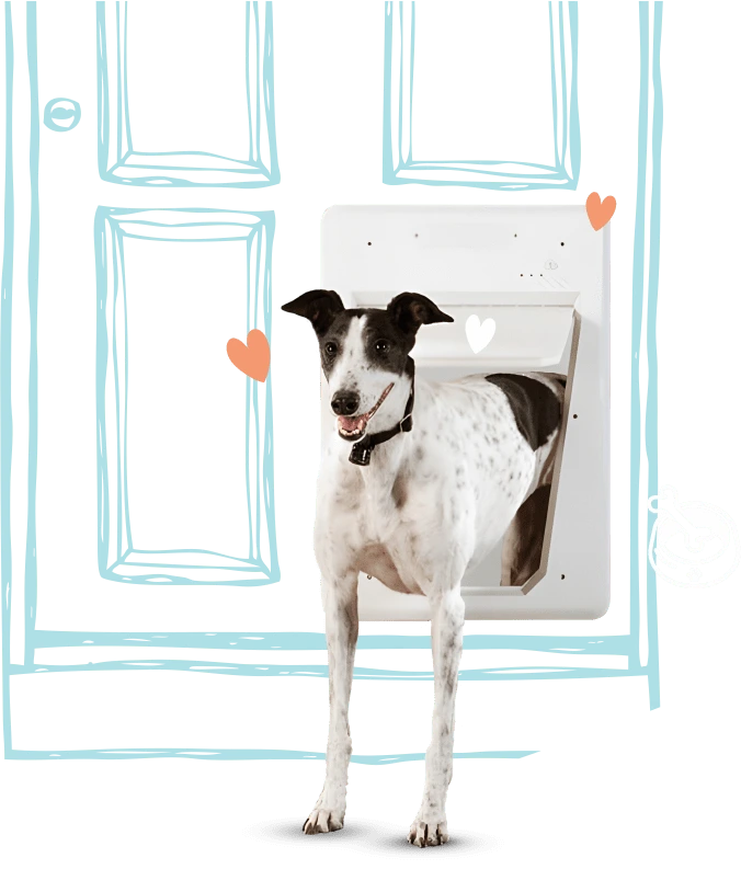 Pet Door for Glass or Sliding Doors