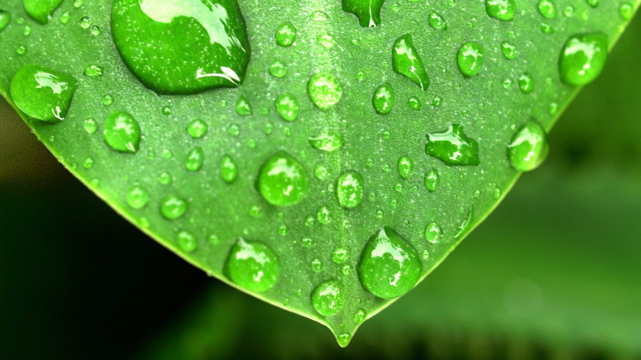 dew point calculator