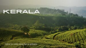 Kerala Holiday Packages for a Perfect Coastal Retreat