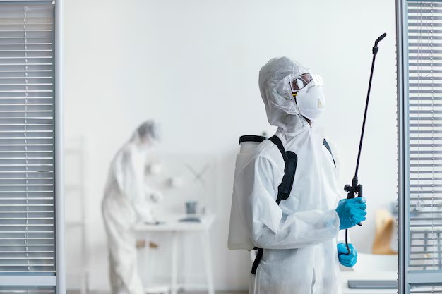 Best Pest Control Companies In Houston