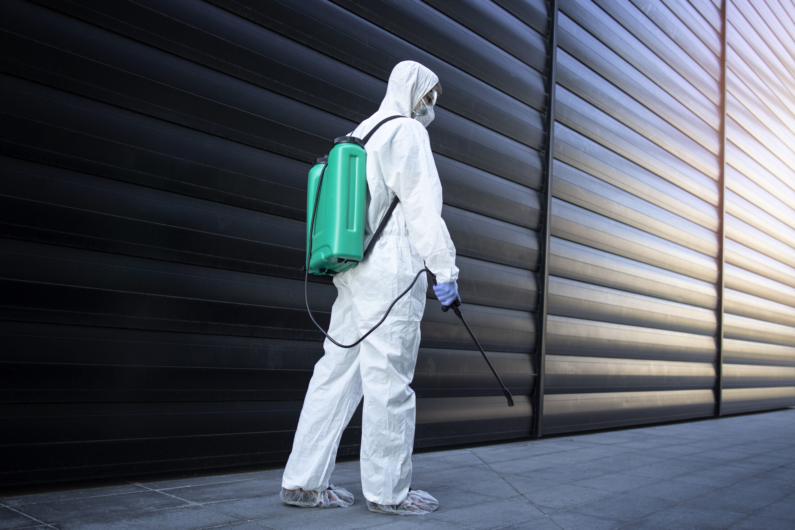 pest-control-services