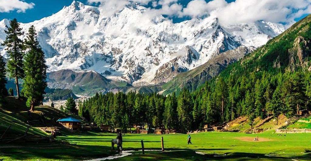 north tour by Nature explorer tours