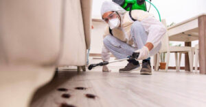 pest management